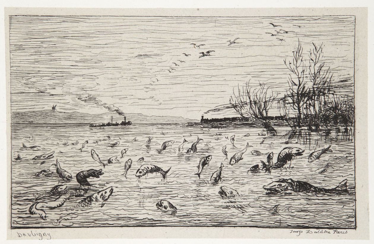 Ryby se radují z odjezdu plavčíka od Charles Francois Daubigny