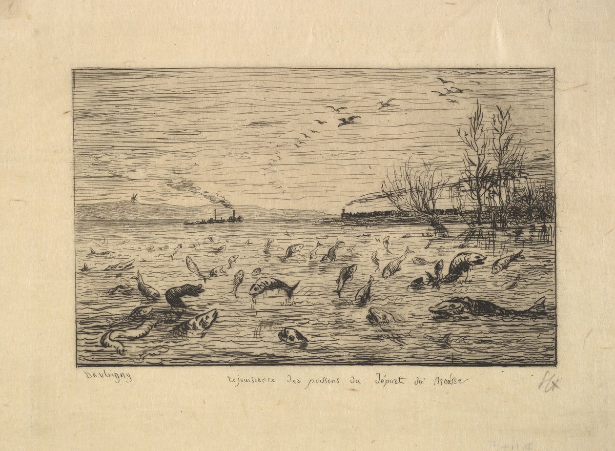 Ryba se raduje z odchodu palubního chlapce, 1861. od Charles Francois Daubigny