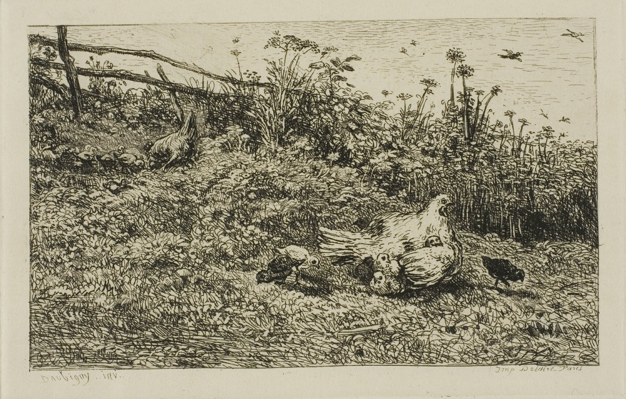 Slepice a její kuřátka od Charles Francois Daubigny