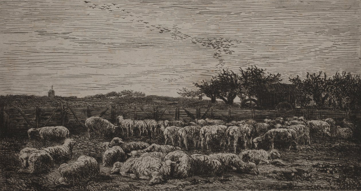The Large Sheep-Fold, 1860. od Charles Francois Daubigny