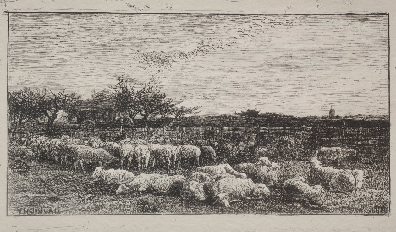 The Large Sheepfold, původní otisk 1862, vytištěno v roce 1921. od Charles Francois Daubigny