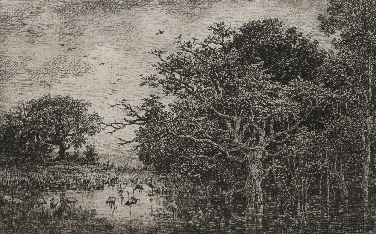 Bažina s čápy, c. 1851. od Charles Francois Daubigny