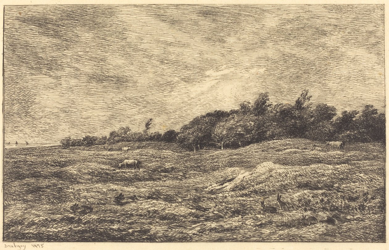Meadow at Grave, poblíž Villerville (Le Pre des Graves, Villerville) od Charles Francois Daubigny