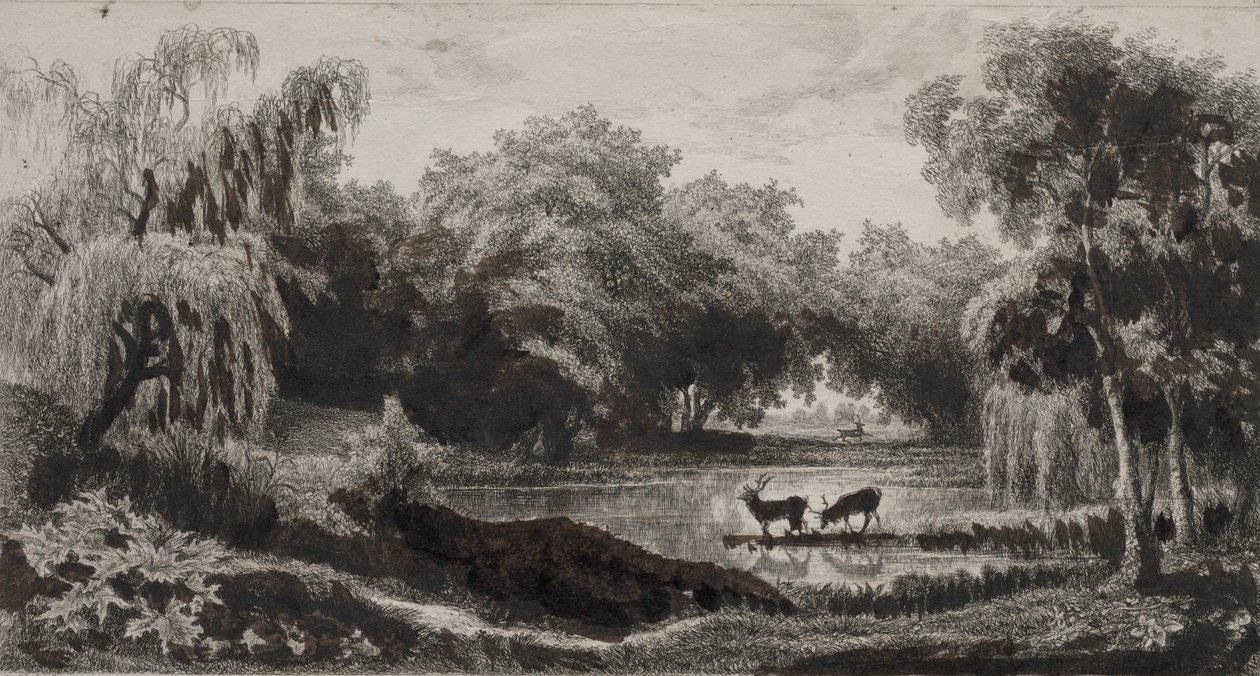 Bazén s jeleny od Charles Francois Daubigny