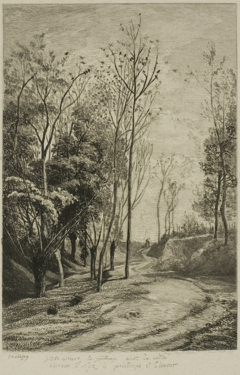 Malí ptáci od Charles Francois Daubigny