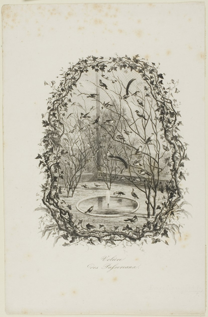 Vrabčí voliéra od Charles Francois Daubigny