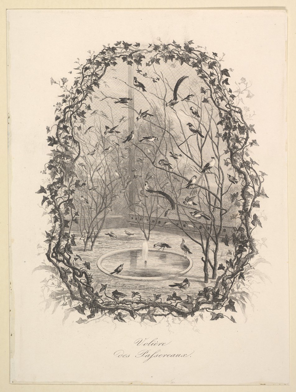 Vrabčí voliéra, 1843. od Charles Francois Daubigny