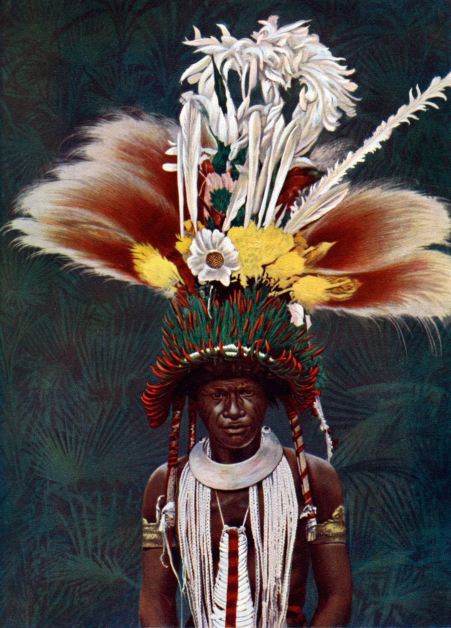 Náčelník Roro oblečený pro slavnostní tanec, Papua Nová Guinea, 1920. od Charles Gabriel Seligman