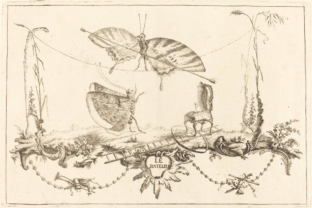 Netopír od Charles Germain de Saint Aubin