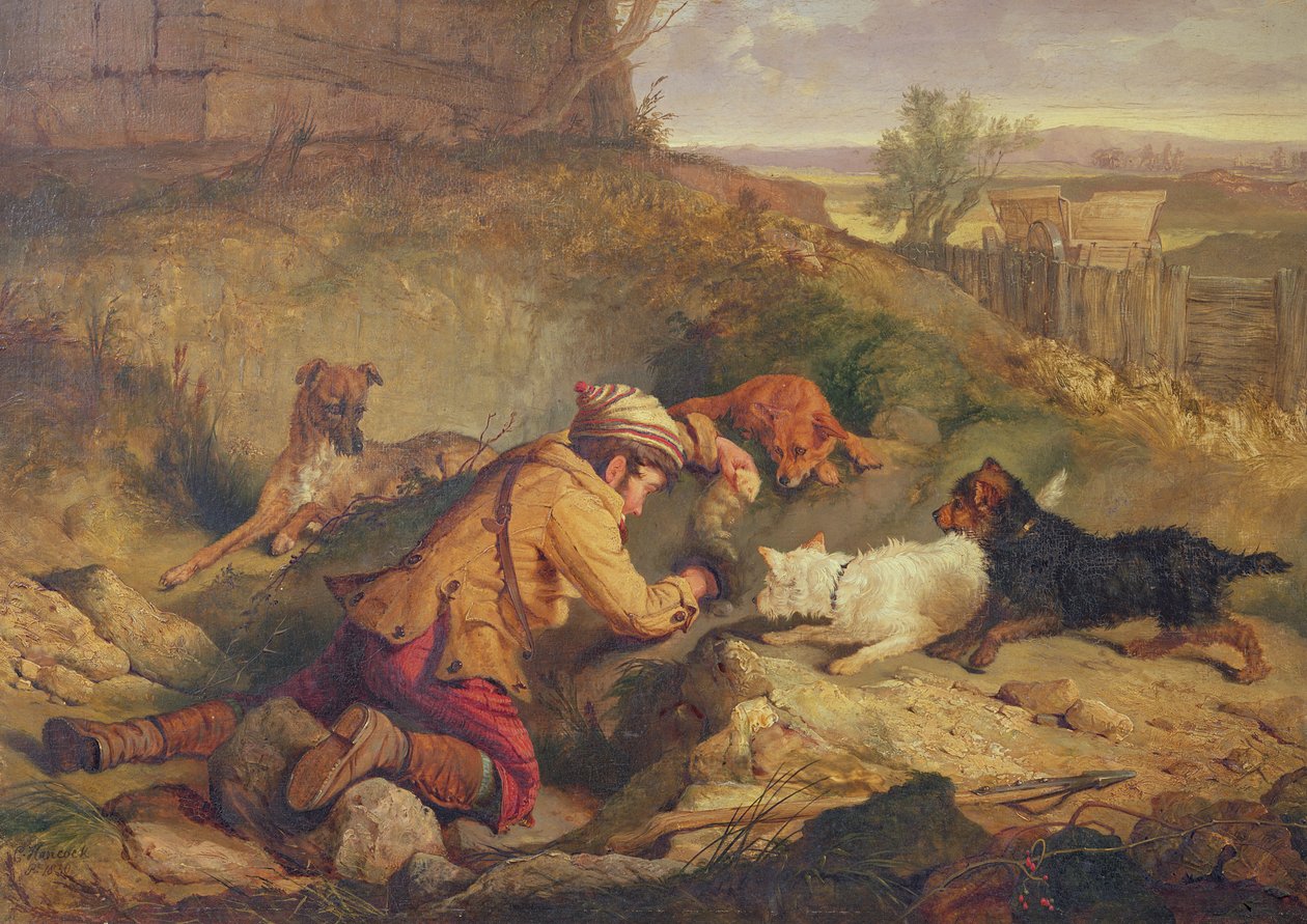 Neznámý obrázek od Charles Hancock