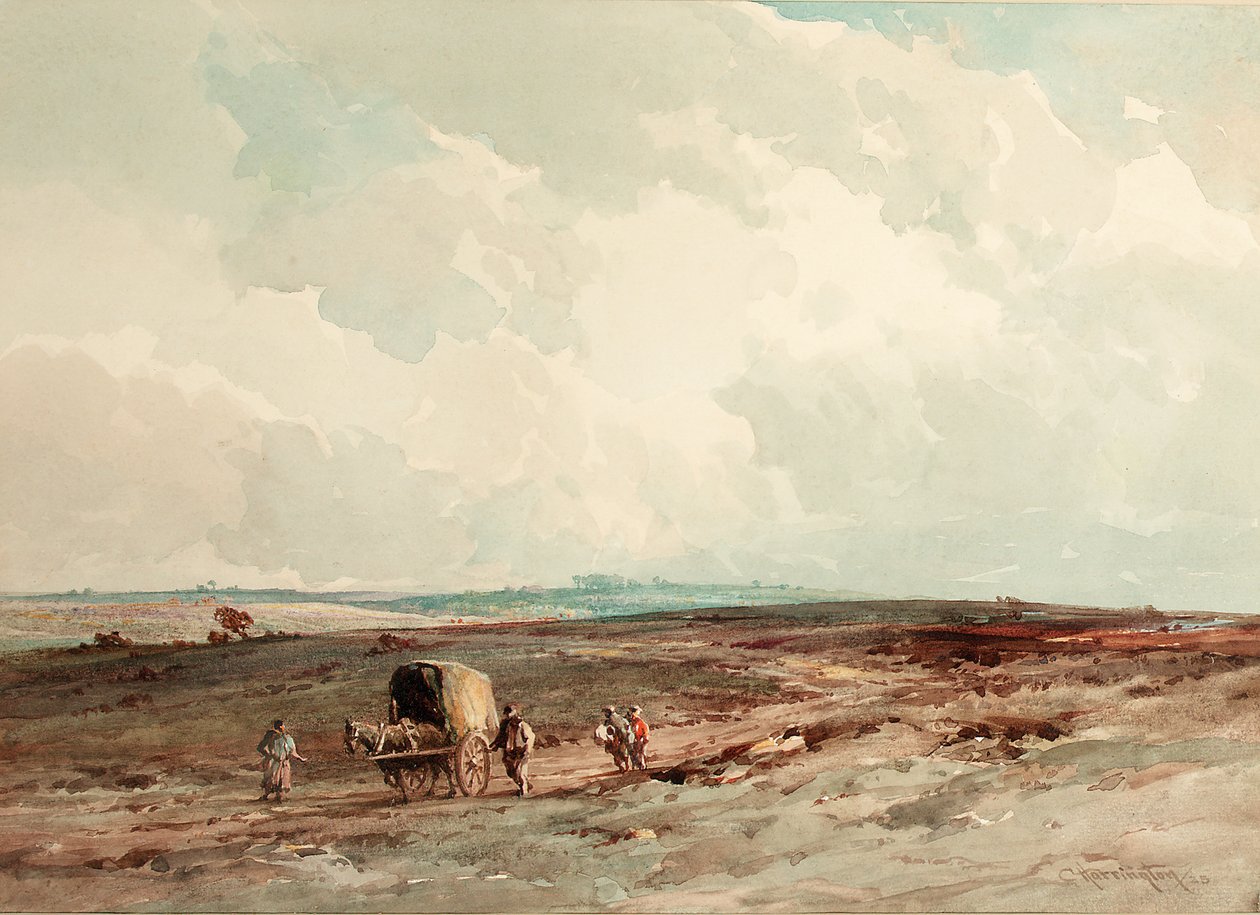 Na Ashdown Forest Reserve, 1925 od Charles Harrington