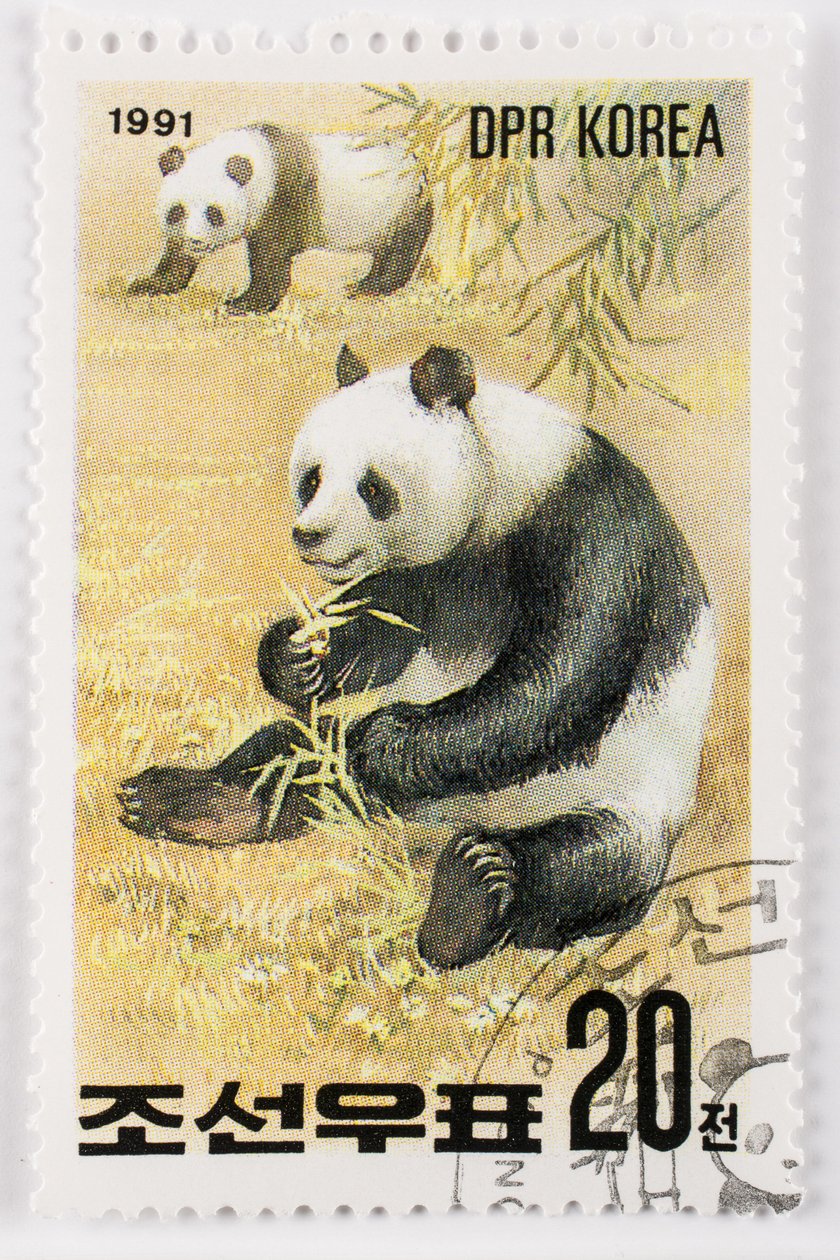 Známka/Severní Korea/Ailuropoda melanoleuca/Grand panda/Giant Panda od Augustus Kollner