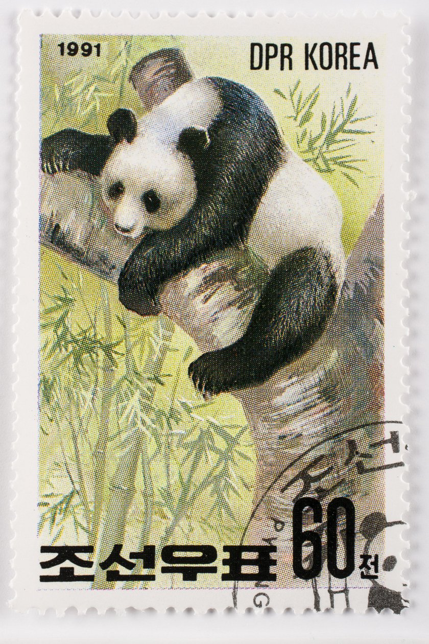 Známka/Severní Korea/Ailuropoda melanoleuca/Grand panda/Giant Panda od Augustus Kollner