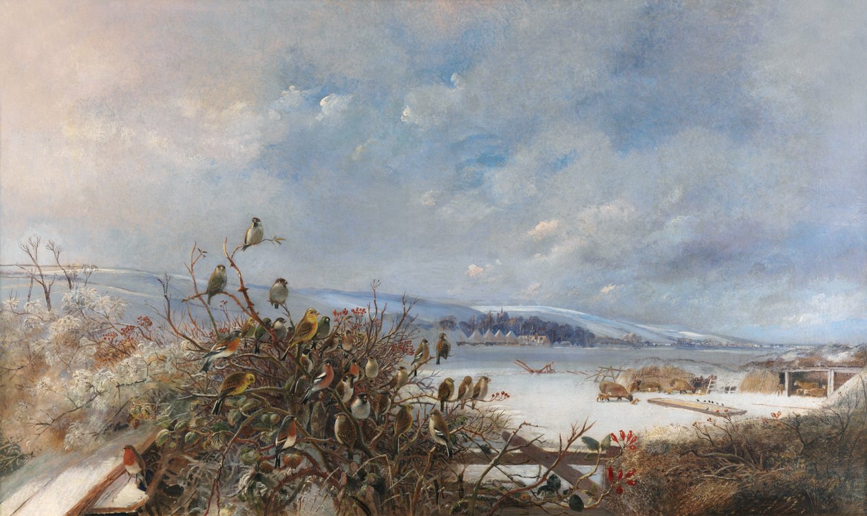 Ptáci z pírka od Charles Henry Clifford Baldwyn