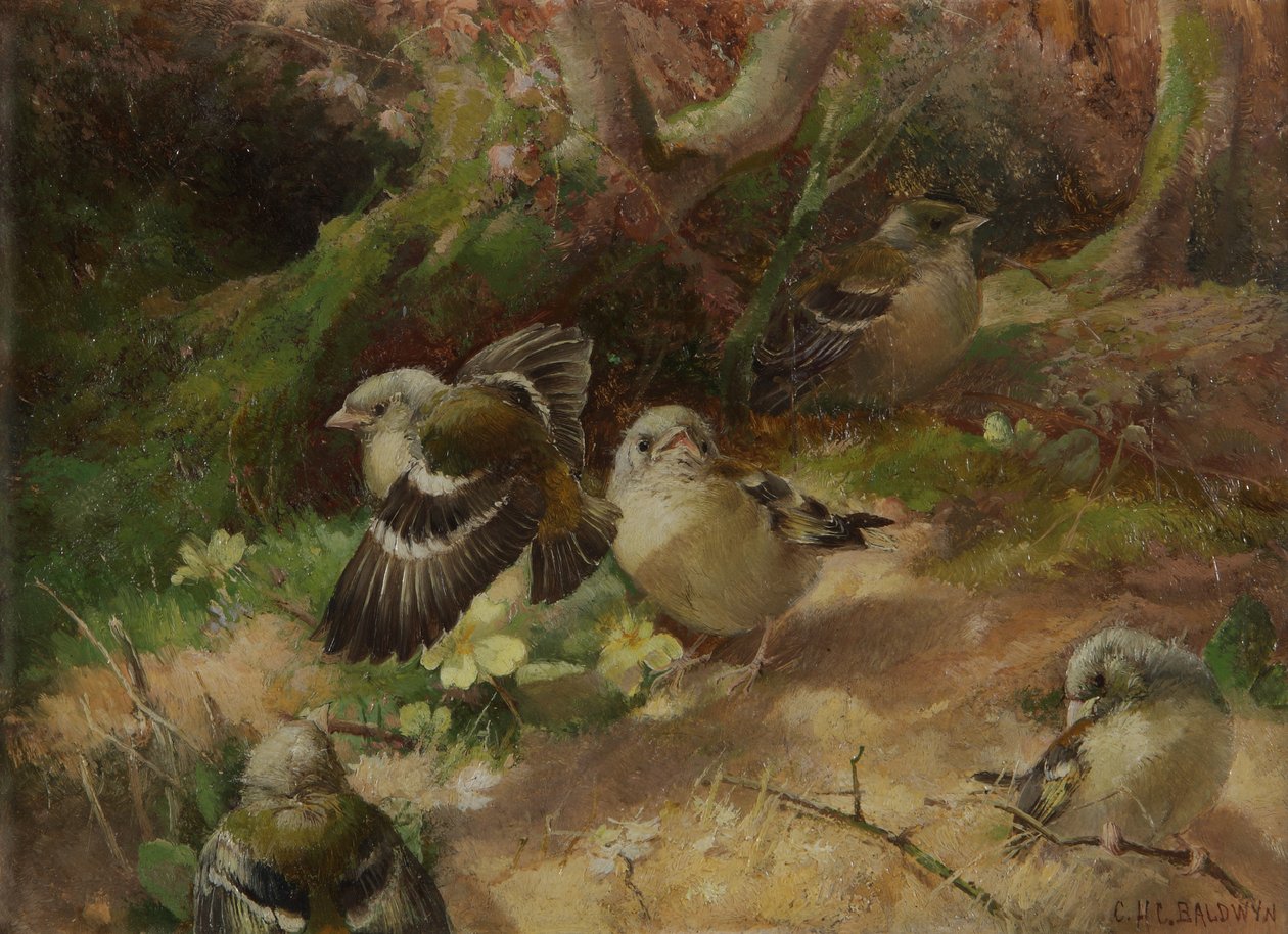 V Happy Woodland od Charles Henry Clifford Baldwyn