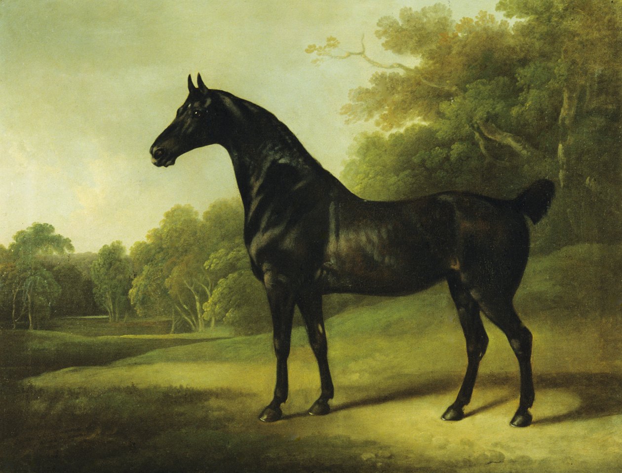 Hřivnatý kůň v zalesněné krajině od Charles Henry Schwanfelder