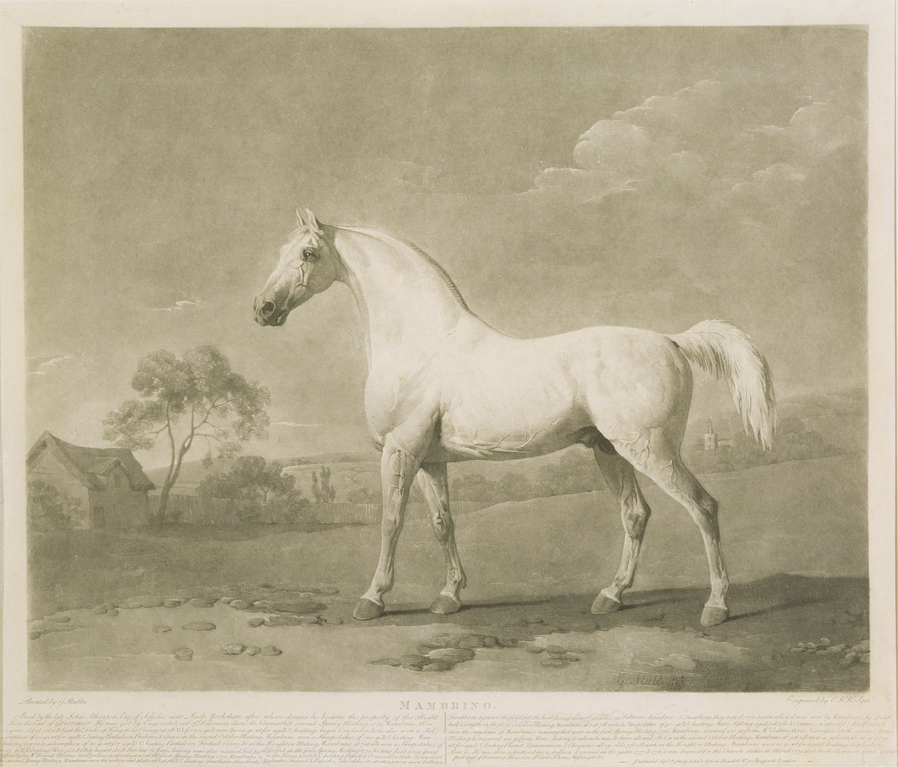 Mambrino, podle George Stubbse, 1788 (mezzotinta) od Charles Howard Hodges