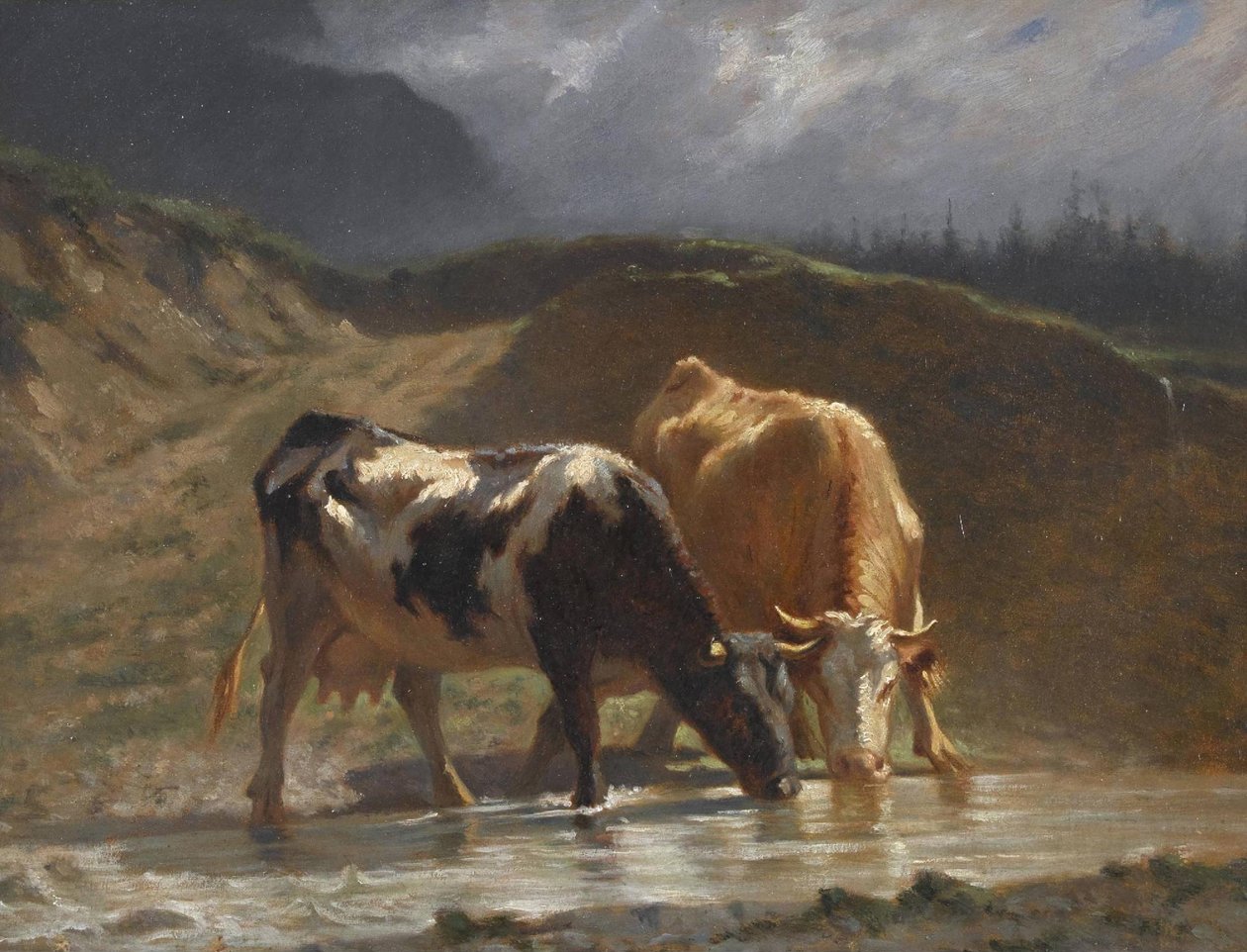 Krávy u napajedla od Charles Humbert