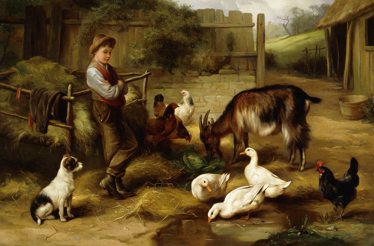 Chlapec s drůbeží a kozou na dvorku, 1903 od Charles Hunt