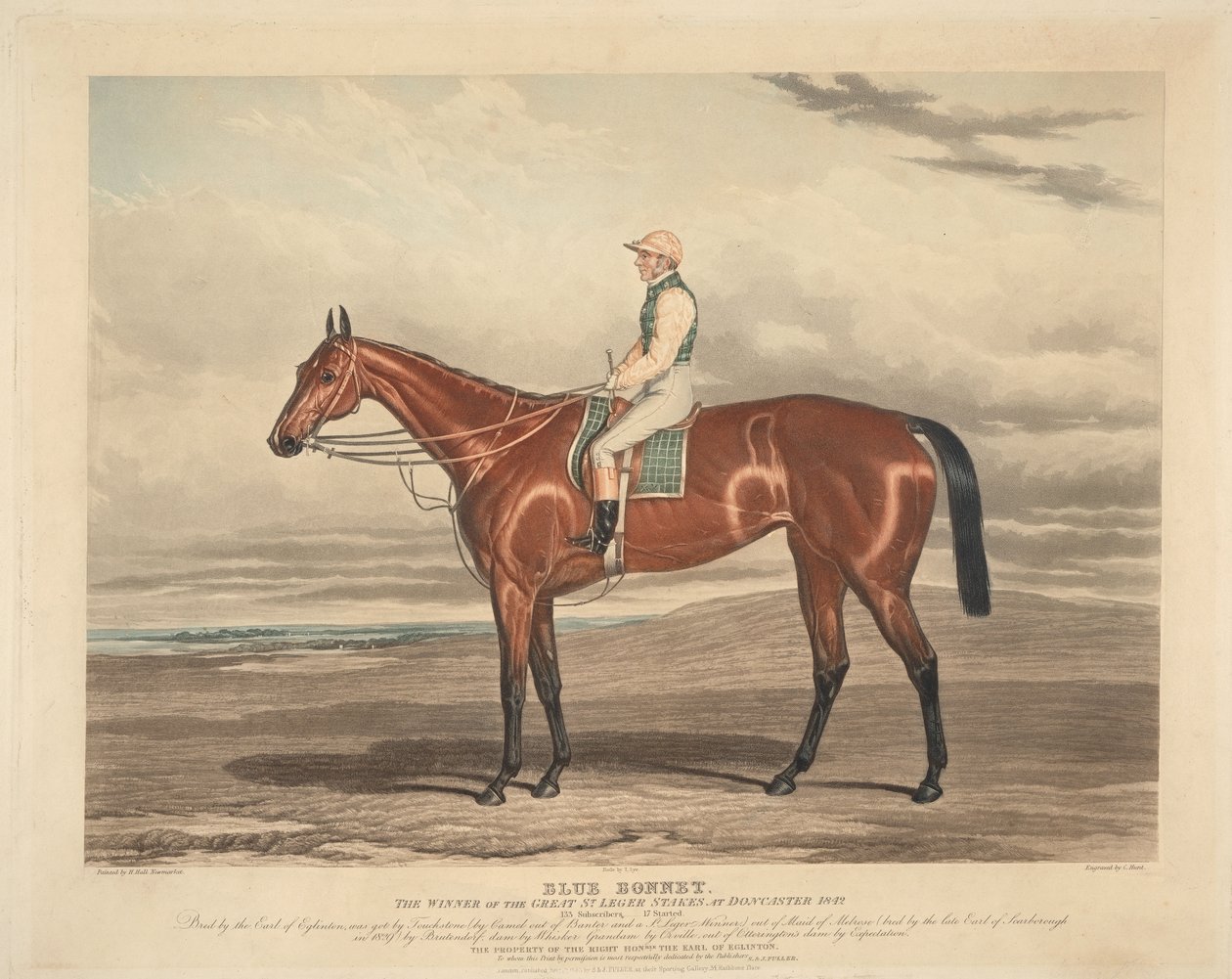 Dostihy: Blue Bonnet. Vítěz velkých St. Leger Stakes v Doncasteru roku 1842 od Charles Hunt
