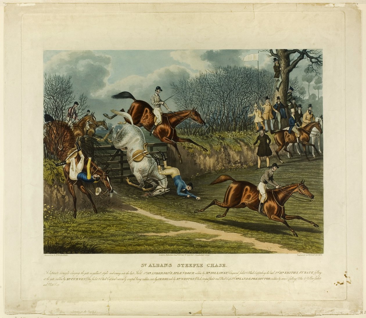 Steeplechase Saint Albans od Charles Hunt