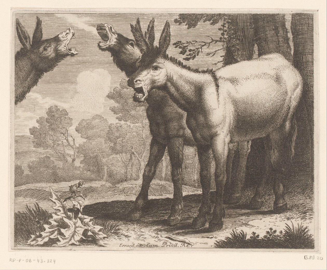 řvoucí osli Zvířecí série (název série) od Charles II Errard (attributed to)