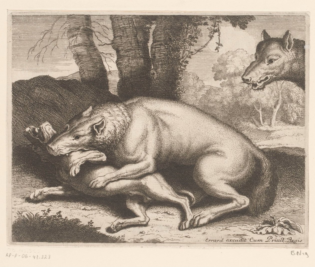 Pes napaden vlkem Zvířecí série (název série) od Charles II Errard (attributed to)