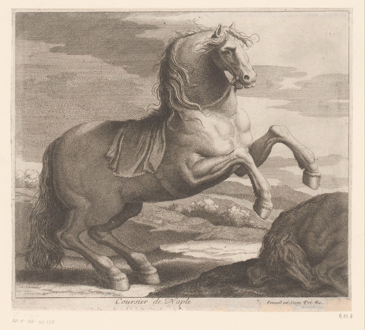 chovný kůň Coursier de Neapol (název na objektu) Zvířecí série (název série) od Charles II Errard (attributed to)