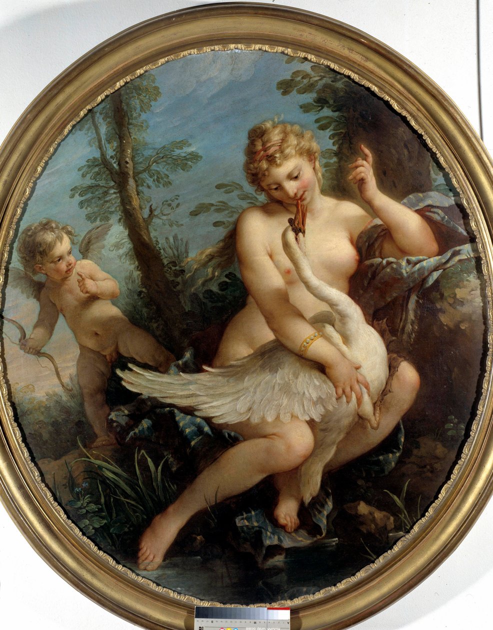 Leda a labuť Leda a bůh Zeus se promění v labuť, aby se k němu přiblížili. Obraz od Charlese Josepha Natoire (Charles-Joseph Natoire od Charles Joseph Natoire