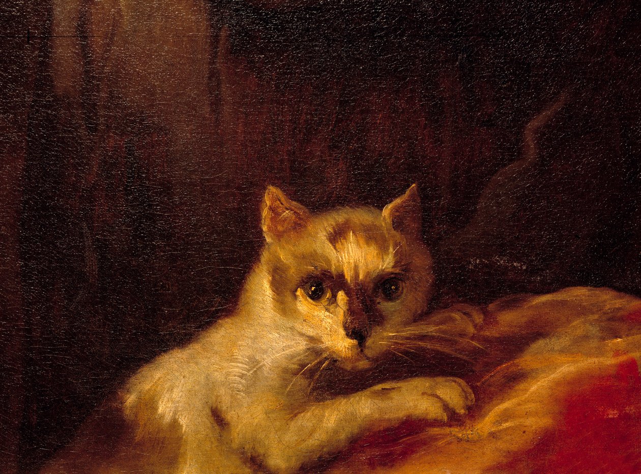 Mademoiselle de Charolais Detail představující kočku. Obraz od Charlese Josepha Natoire (Charles-Joseph Natoire od Charles Joseph Natoire