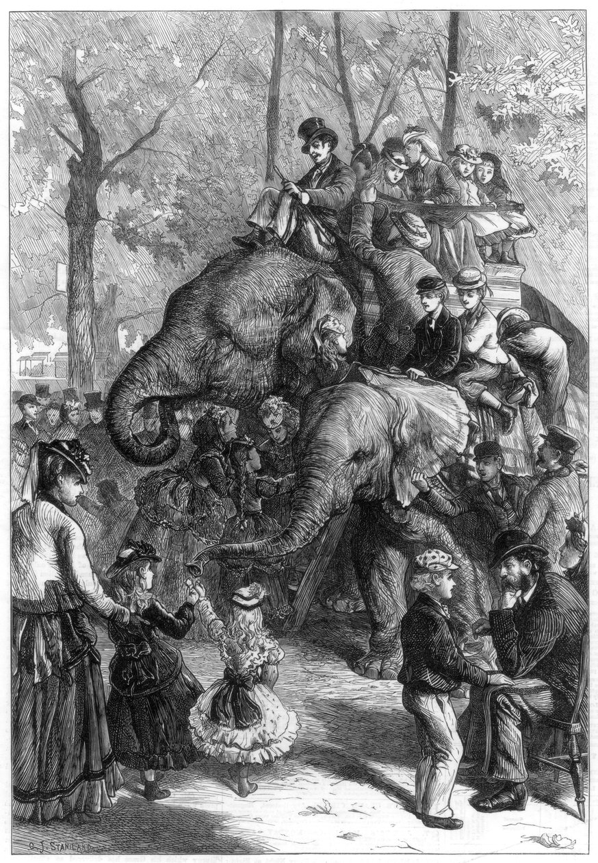 Pondělní odpoledne v zahradách zoologických společností, 1871. od Charles Joseph Staniland