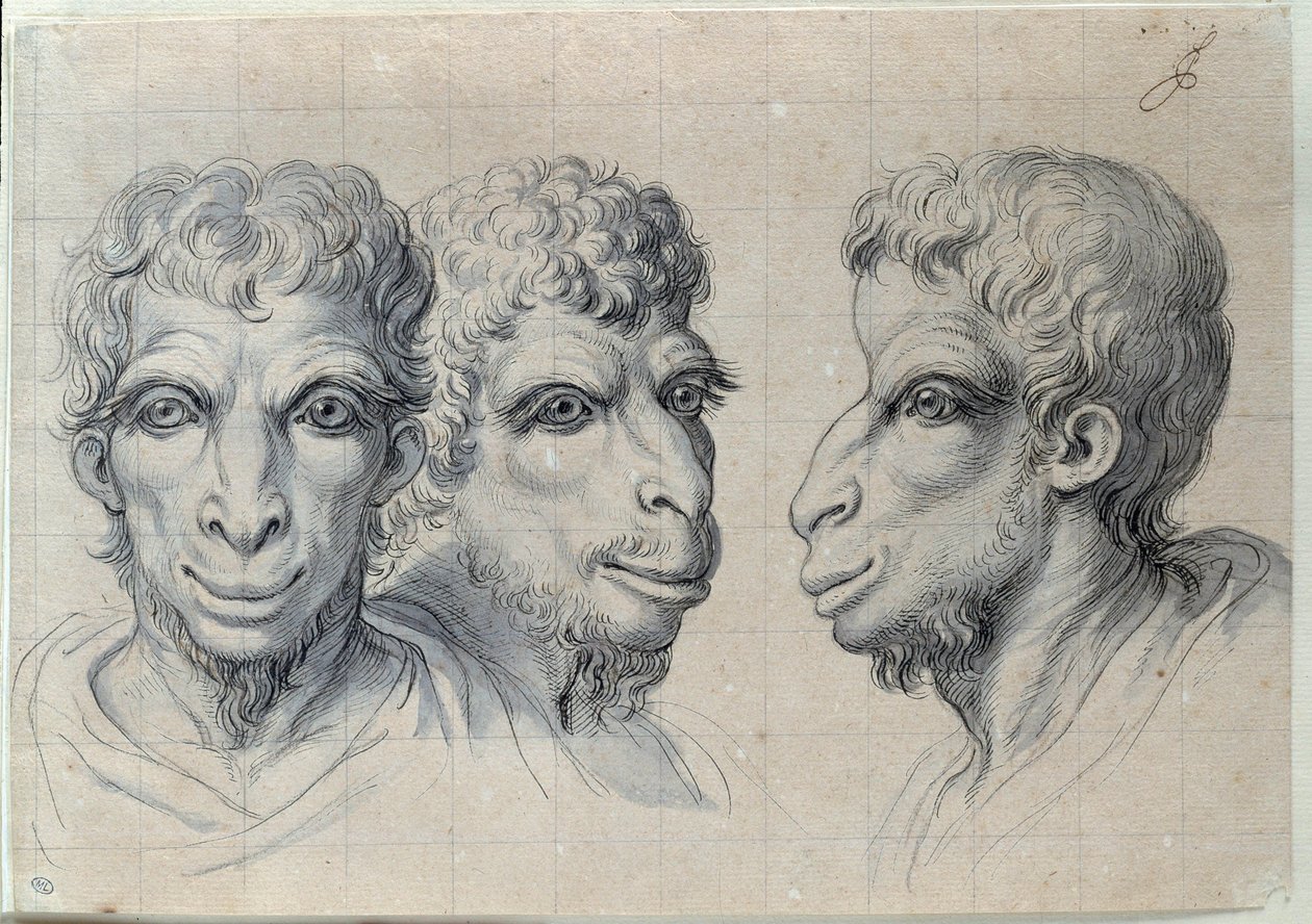 Závěsný od Charles Le Brun