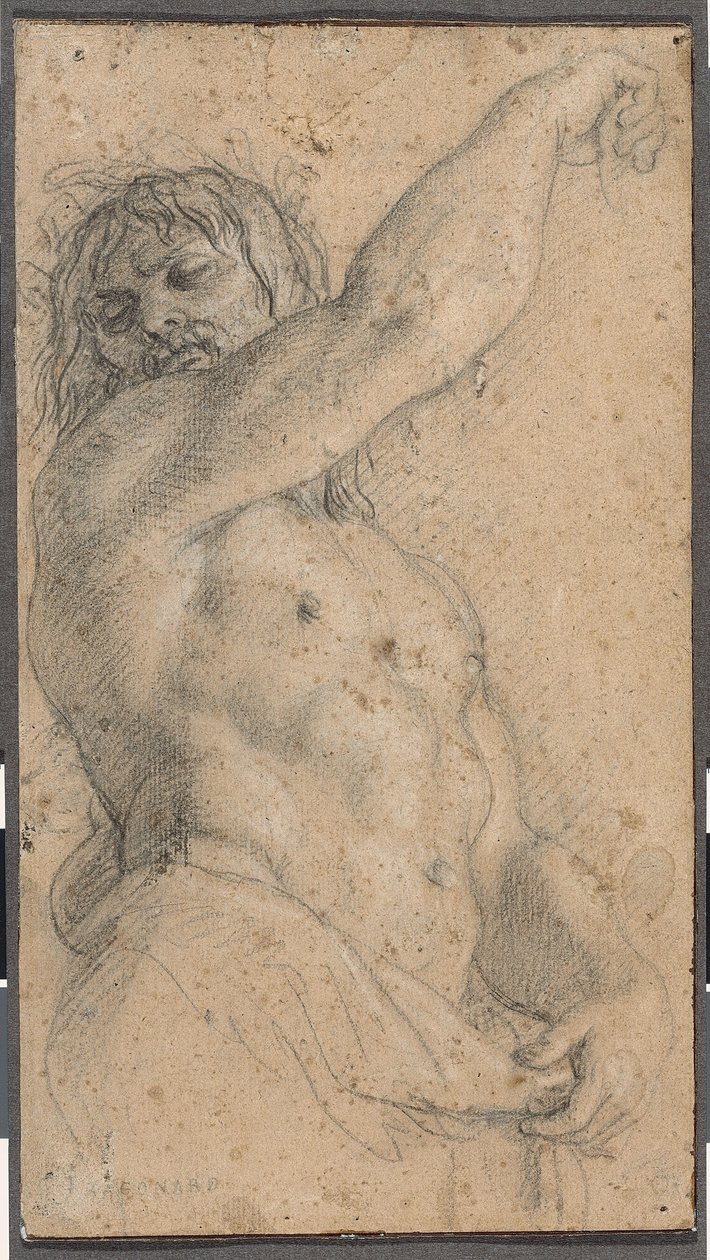 Studium pro Herm od Charles Le Brun