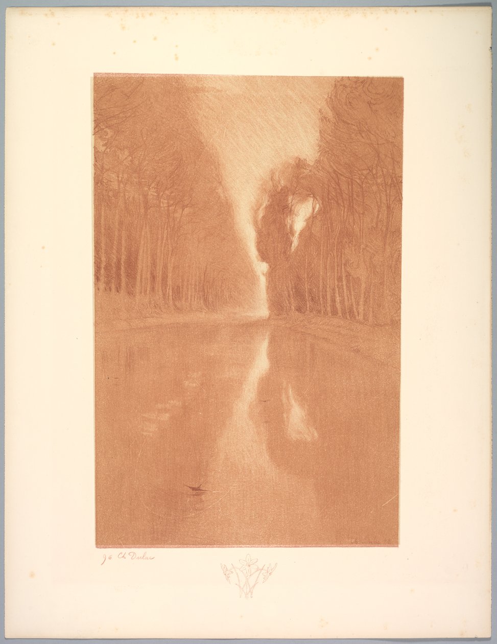 Suite of Landscapes: Landscape, Plate 2, Note, Starflowers, 1892-1893. od Charles Marie Dulac