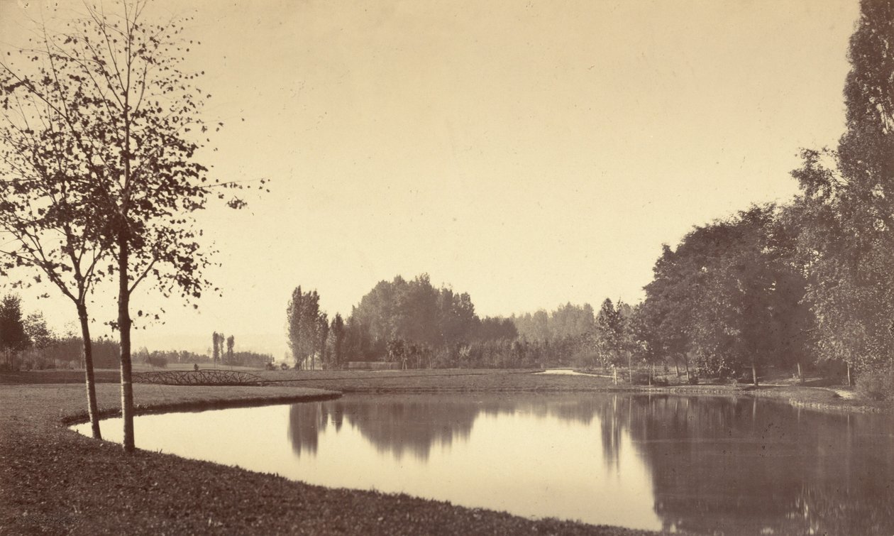 Bouloňský lesík, 1858 (foto) od Charles Marville