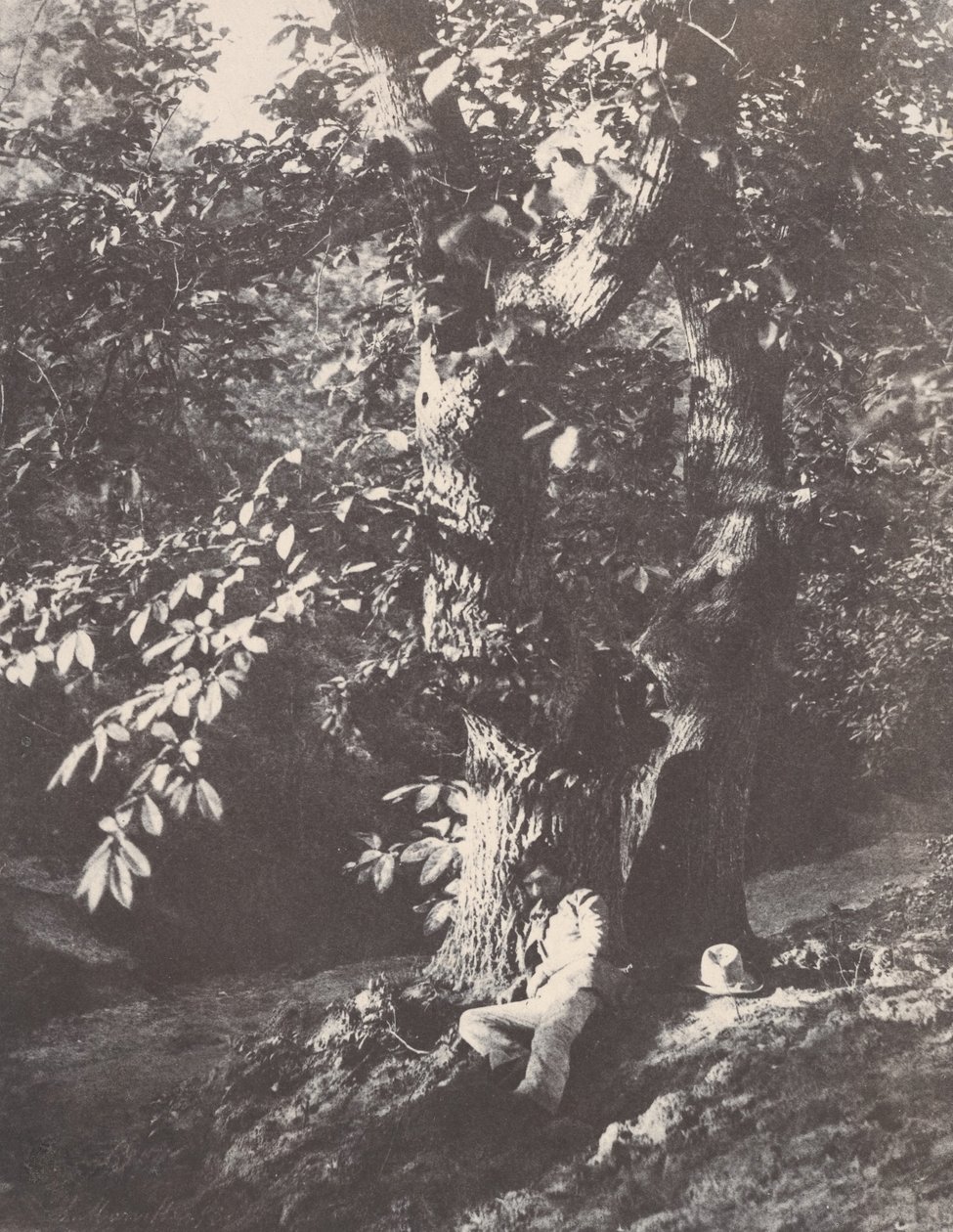 Muž ležící na úpatí kaštanu, 1850-53. od Charles Marville