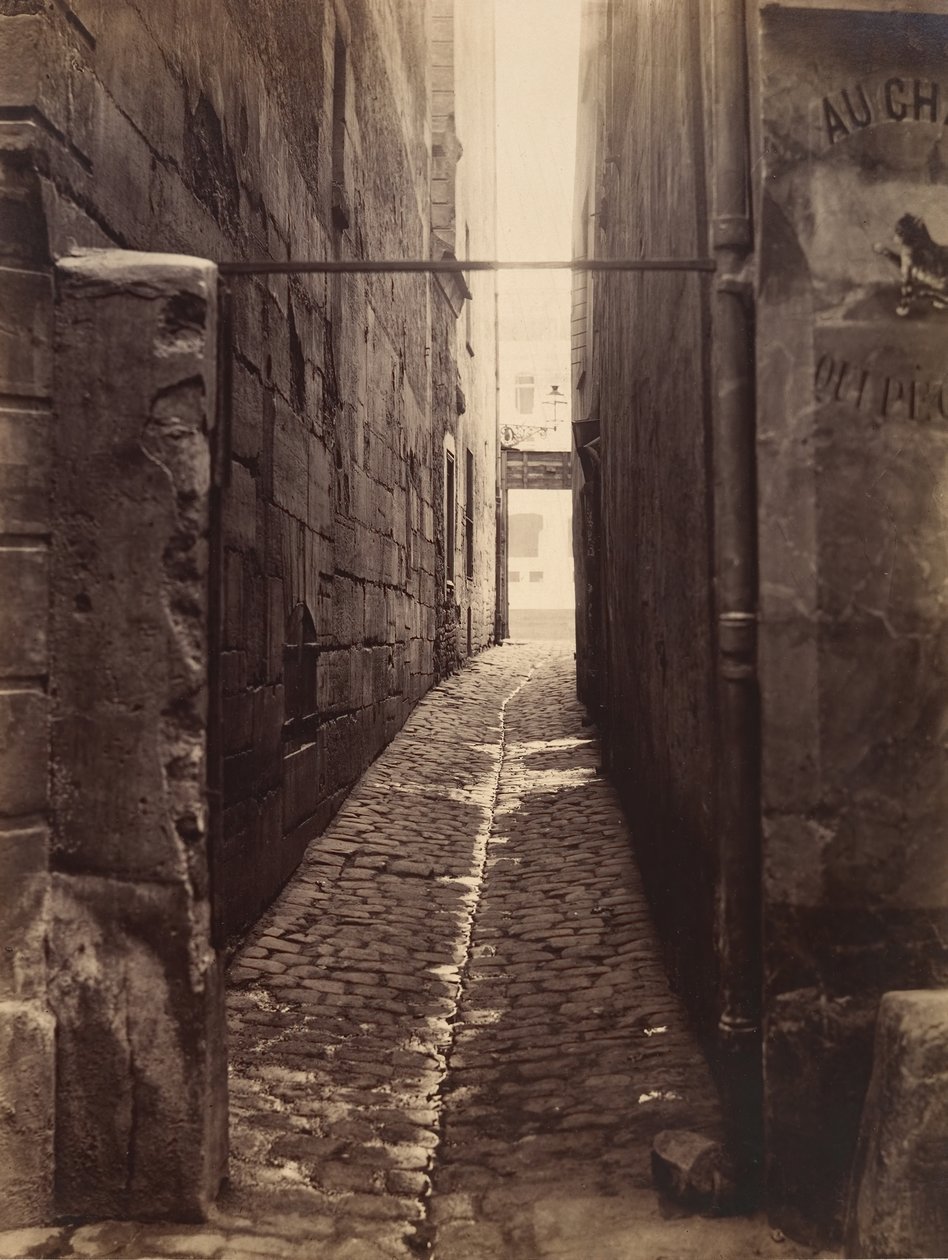 Rue du Chat-qui-Pêche z Rue de la Huchette, ca. 1868. od Charles Marville