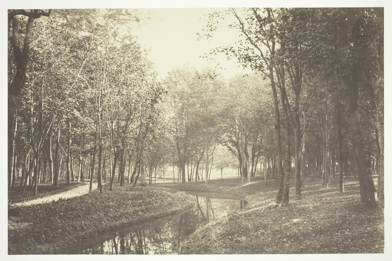 Bez názvu, c. 1850. [Stromy u vody v Bois de Boulogne, park v Paříži]. od Charles Marville