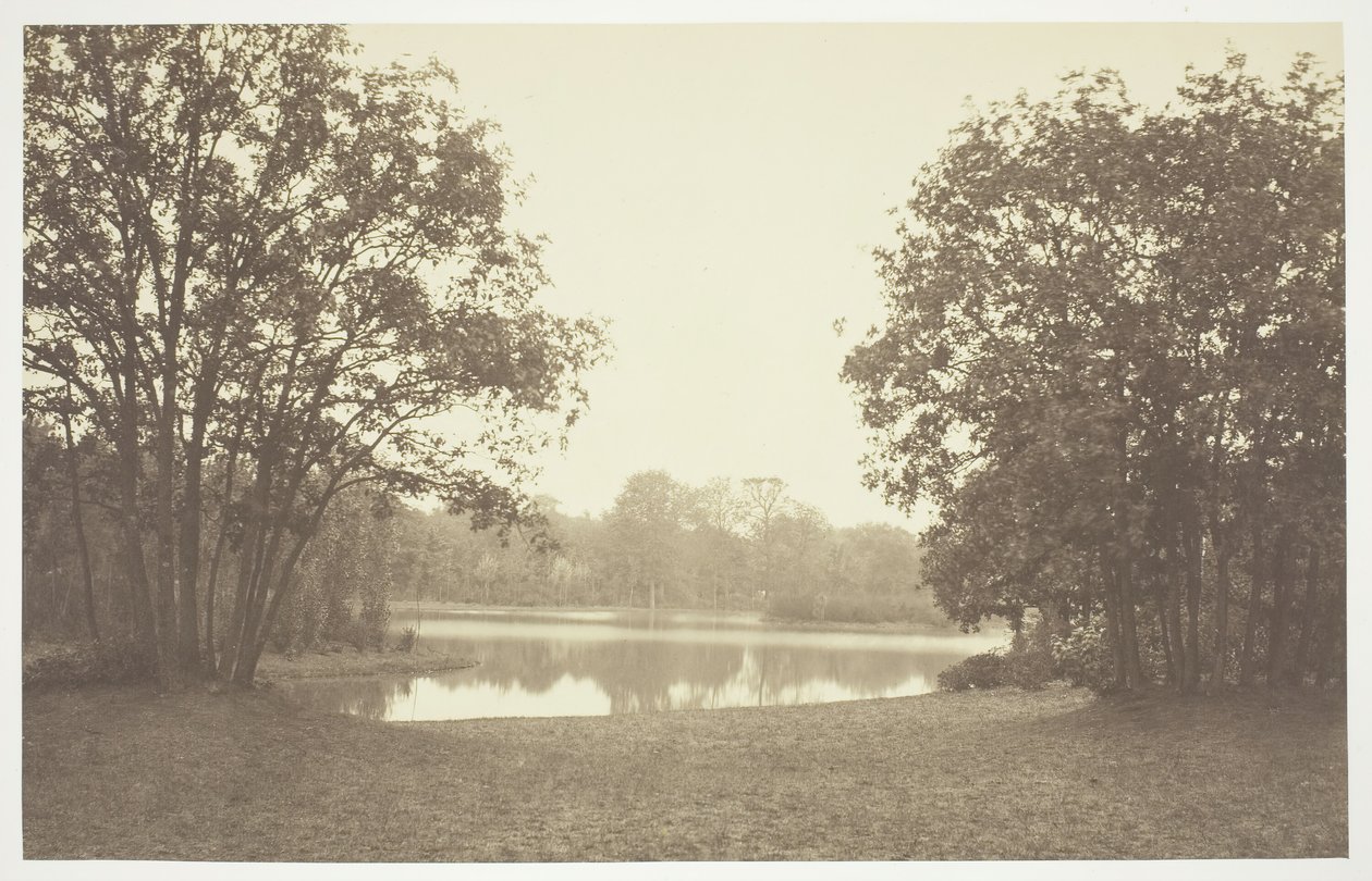 Bez názvu, c. 1850. [Stromy u vody v Bois de Boulogne, park v Paříži]. od Charles Marville