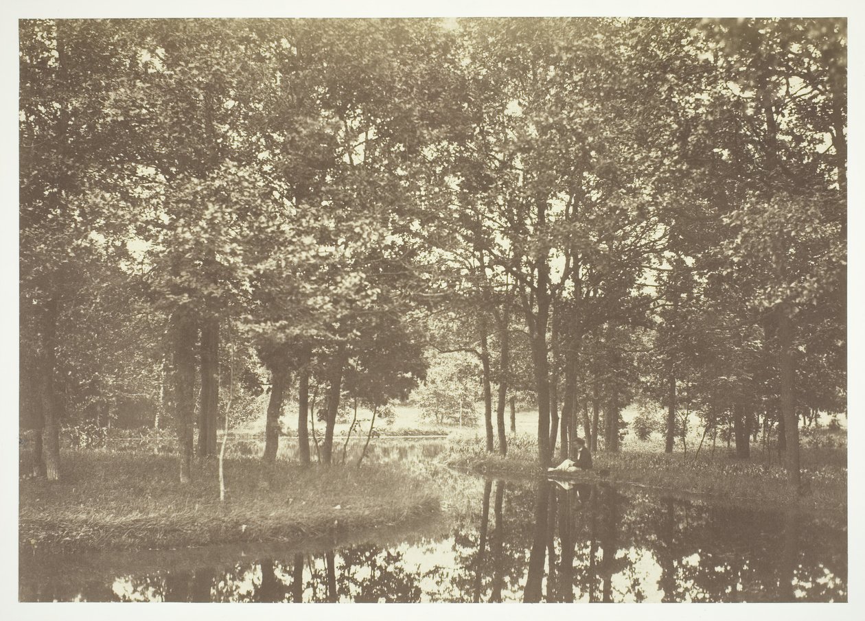 Bez názvu, c. 1850. [Stromy u vody v Bois de Boulogne, park v Paříži]. od Charles Marville