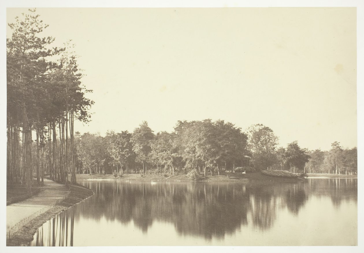 Bez názvu, c. 1850. [Stromy u vody v Bois de Boulogne, park v Paříži]. od Charles Marville