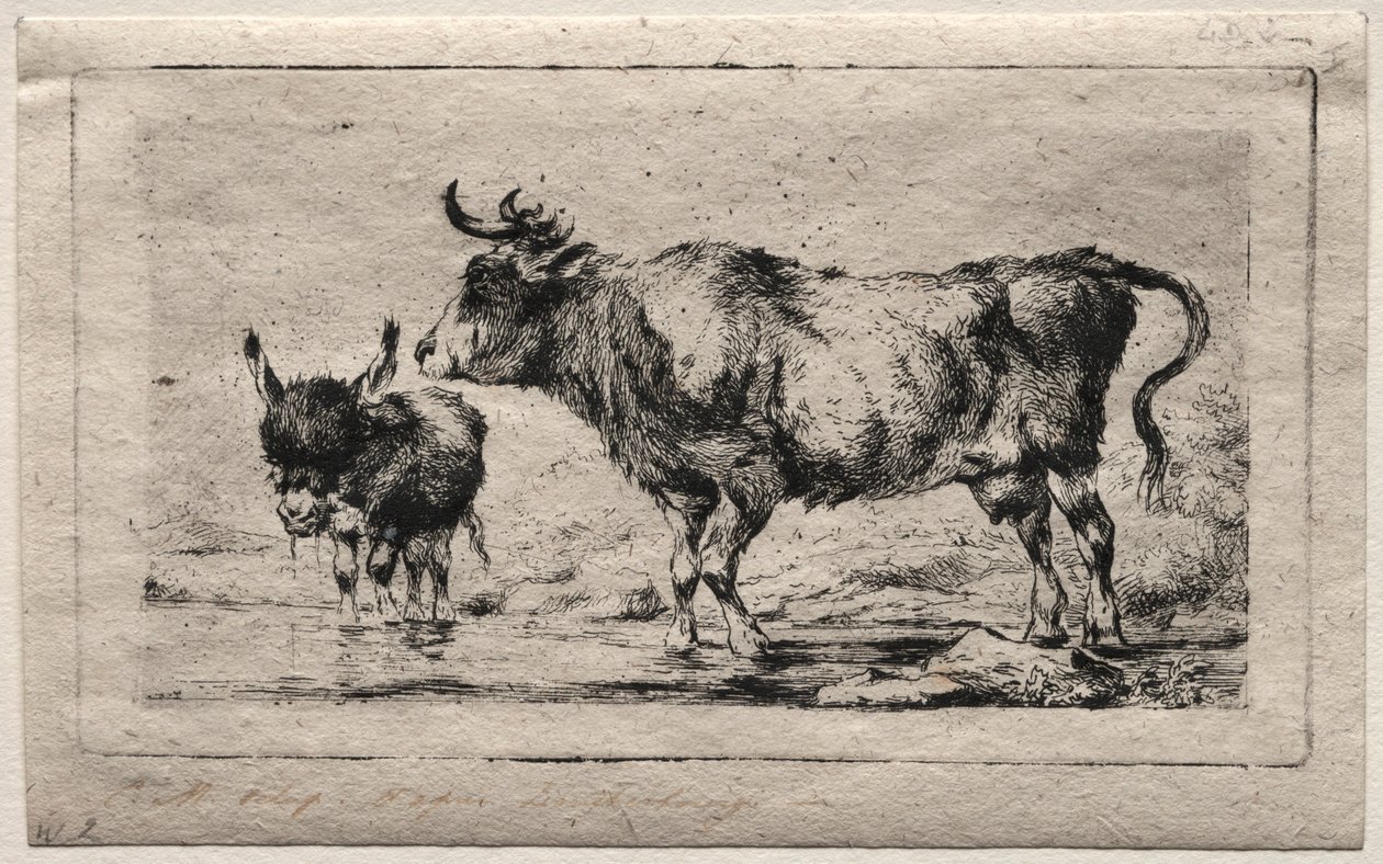 Kráva a osel, 1849. od Charles Meryon