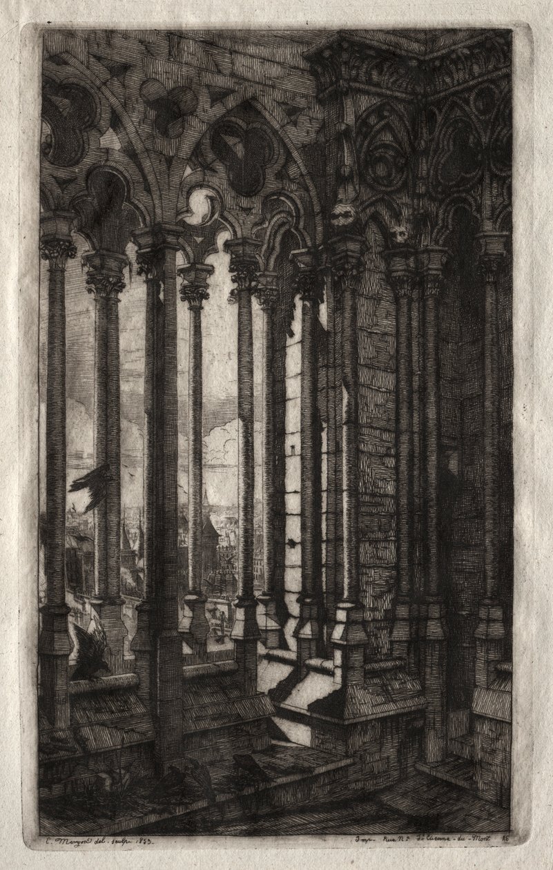 Lepty Paříže: Galerie Notre Dame, 1853. od Charles Meryon