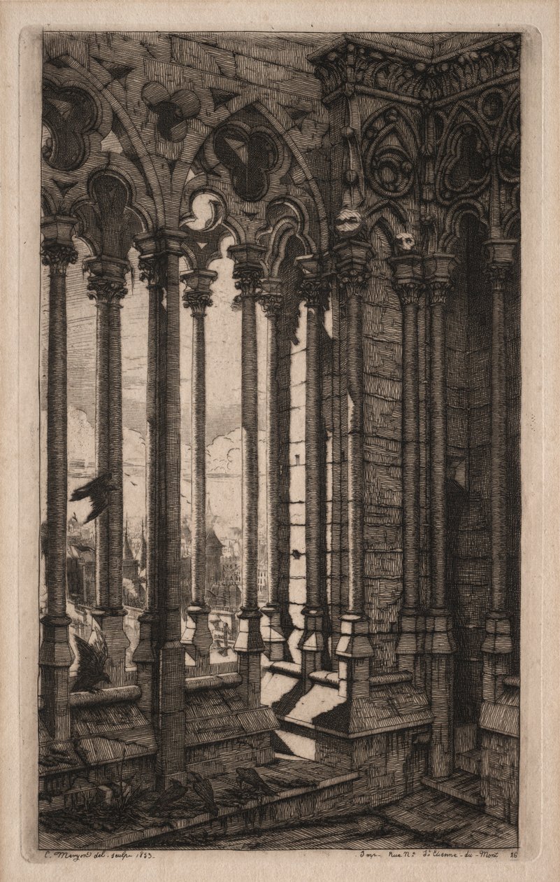 Lepty Paříže: Galerie Notre Dame, 1853. od Charles Meryon