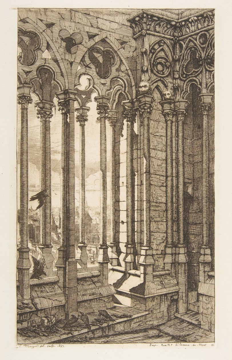 Galerie, katedrála Notre-Dame, Paříž od Charles Meryon
