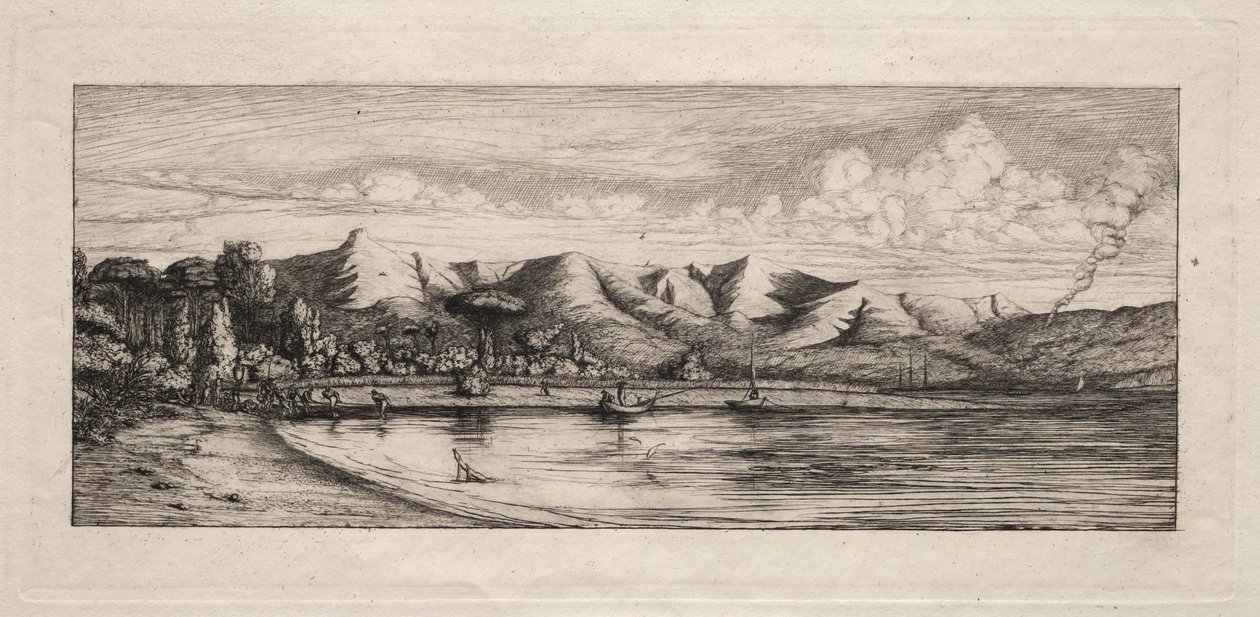 Seine Fishing off Charcoal Burners Point, Akaroa, 1865. od Charles Meryon
