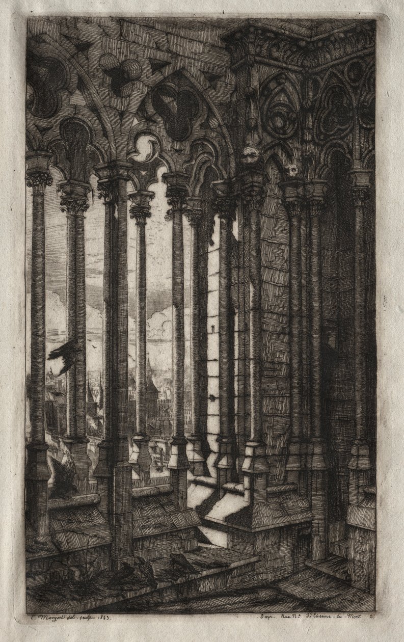 Lepty Paříže: Galerie Notre Dame, 1853. od Charles Meryon
