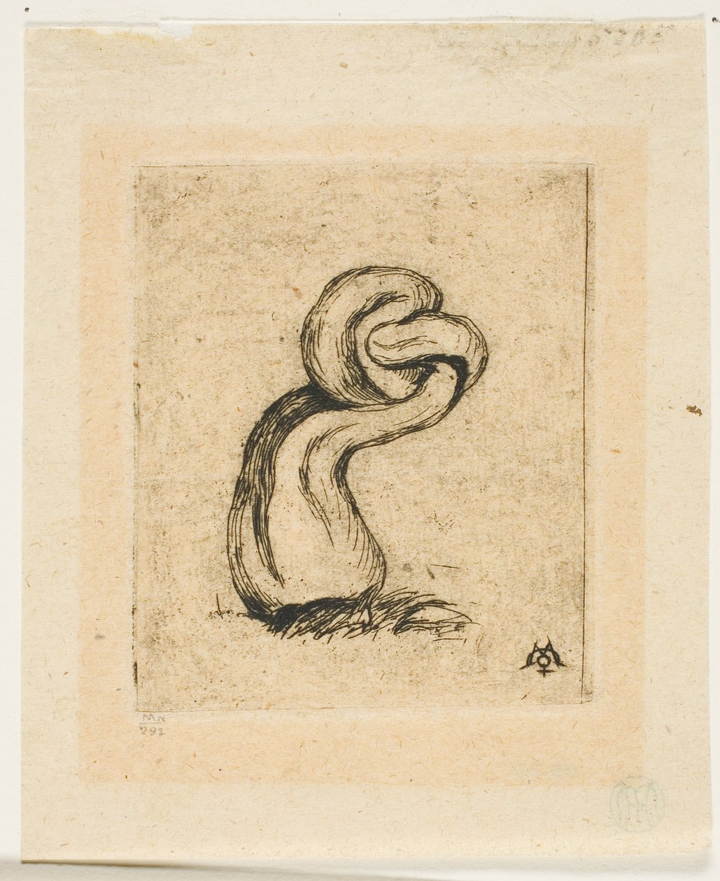 Sickly Cryptogam od Charles Meryon