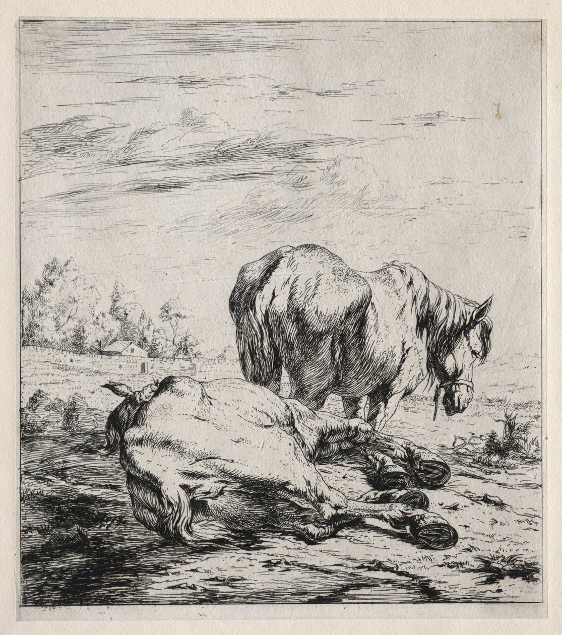 Dva koně, 1850. od Charles Meryon