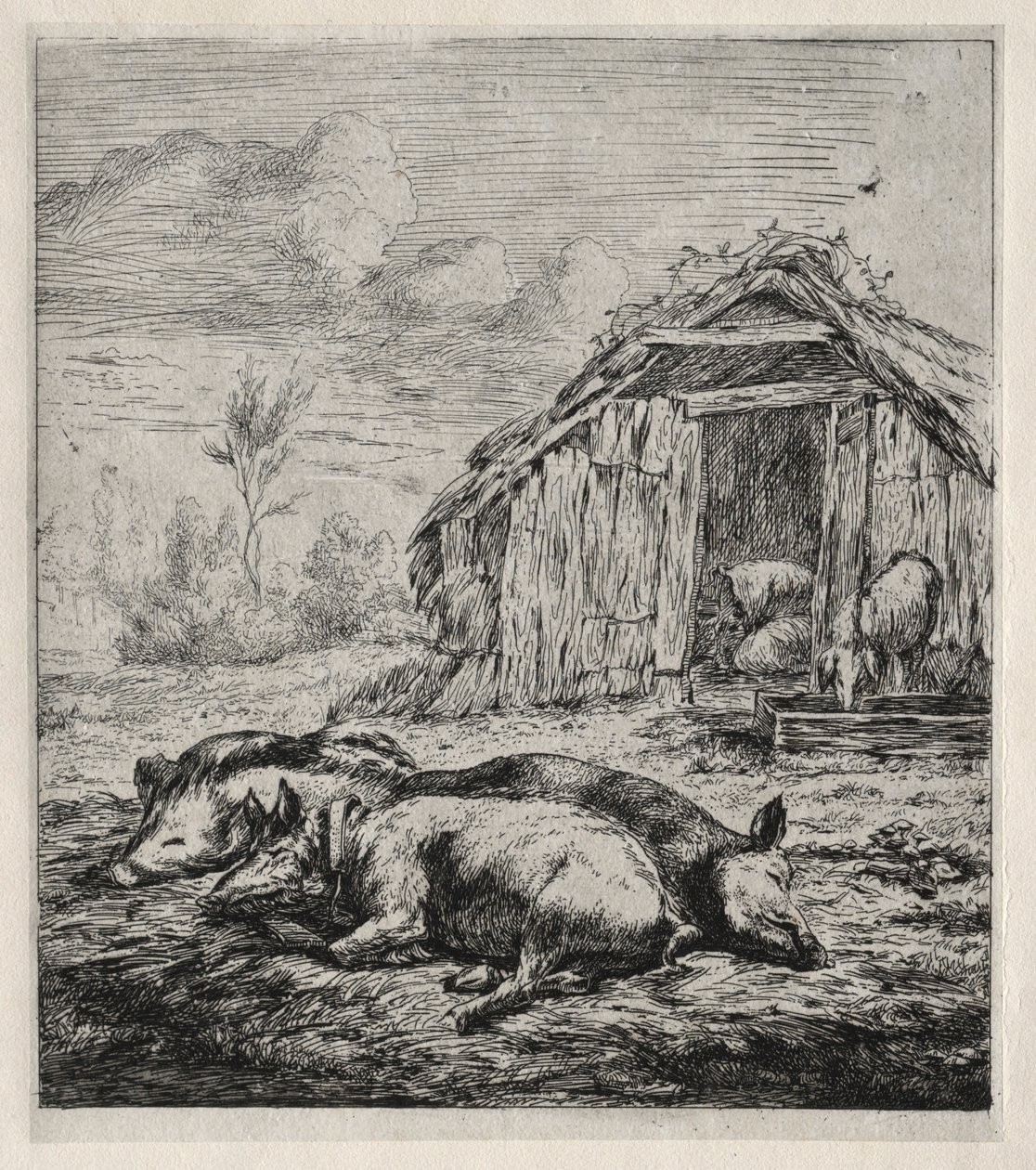Tři svině ležící před chlívem, 1850. od Charles Meryon